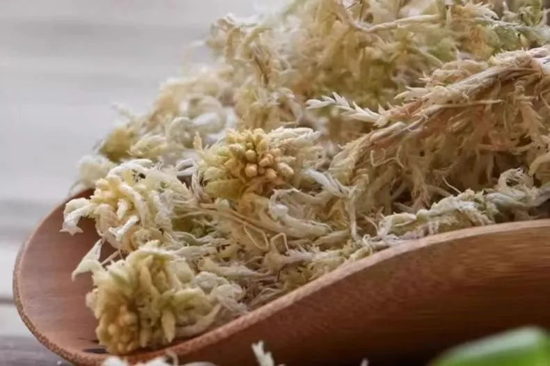 Sphagnum Moss