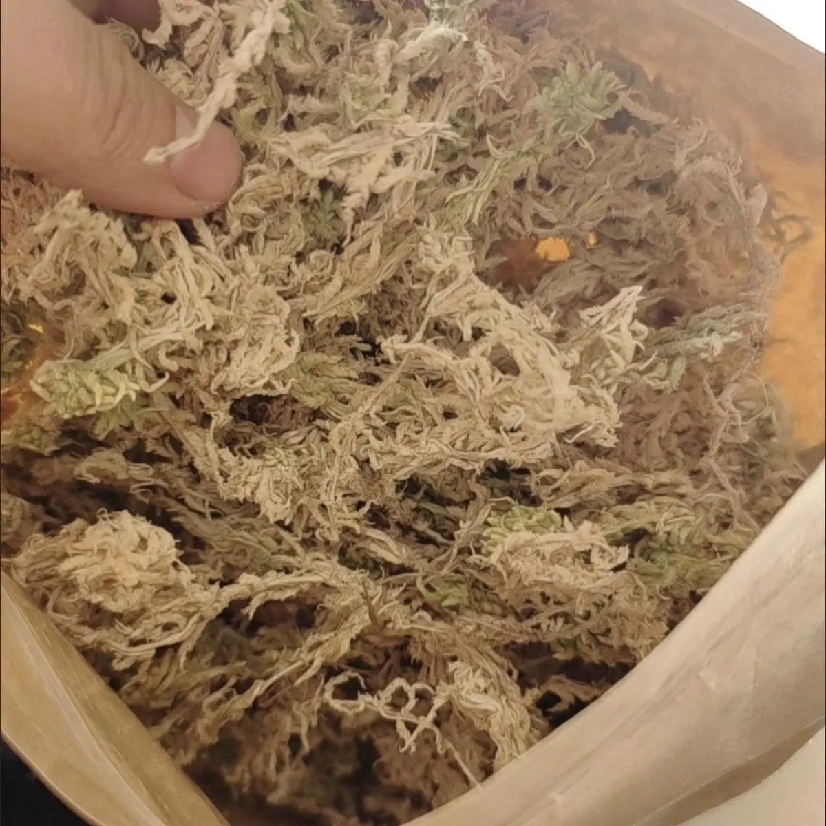 Premium Sphagnum Moss Long Fiber – 100% Natural Organic Moss for Orchids & Plants